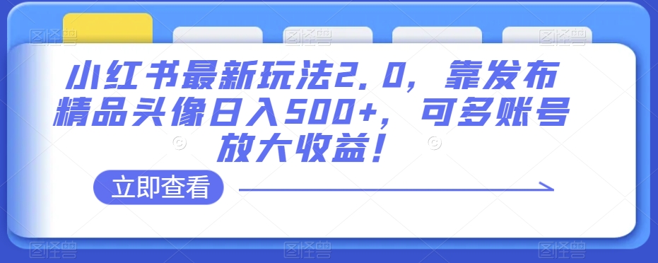 小红书最新玩法2.0，靠发布精品头像日入500+，可多账号放大收益！【揭秘】_微雨项目网