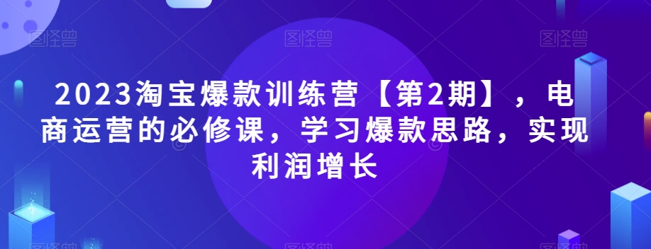 2023淘宝爆款训练营【第2期】，电商运营的必修课，学习爆款思路，实现利润增长_微雨项目网