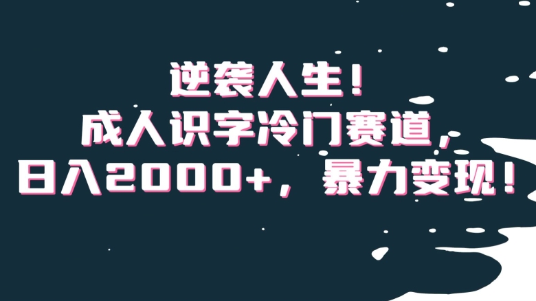 逆袭人生！成人识字冷门赛道，日入2000+，暴力变现！【揭秘】_微雨项目网