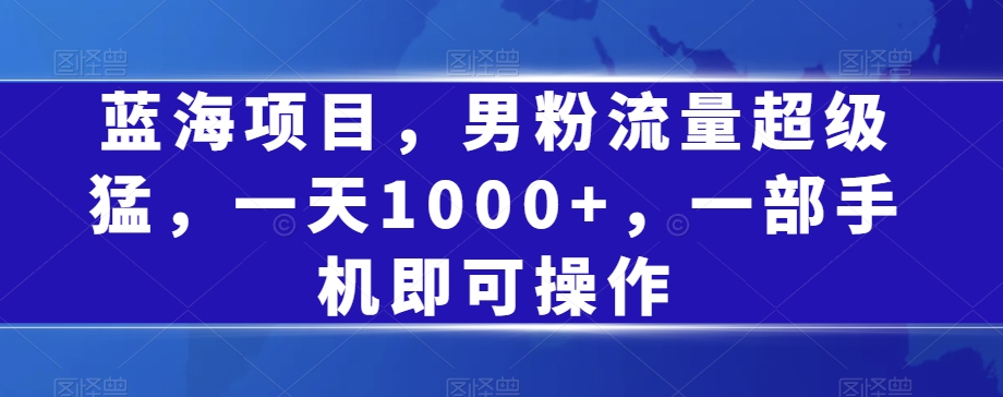 蓝海项目，男粉流量超级猛，一天1000+，一部手机即可操作【揭秘】_微雨项目网