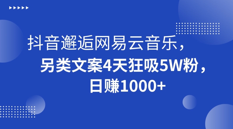 抖音邂逅网易云音乐，另类文案4天狂吸5W粉，日赚1000+【揭秘】_微雨项目网