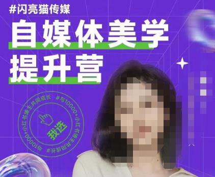 自媒体美学提升营，手把手带你提升品牌审美，做一个有调性的博主_微雨项目网