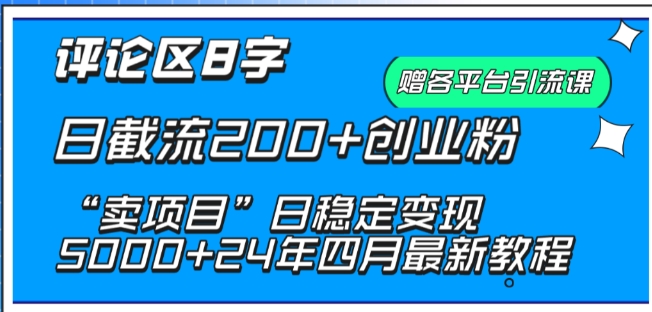 抖音评论区8字日截流200+创业粉 “卖项目”日稳定变现5000+【揭秘】_微雨项目网