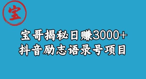 宝哥揭秘日赚3000+抖音励志语录号短视频变现项目_微雨项目网