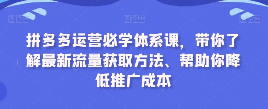 拼多多运营必学体系课，带你了解最新流量获取方法、帮助你降低推广成本_微雨项目网