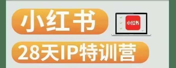 28天小红书博主IP特训营（第3期）实战经验，快速涨粉，迅速变现_微雨项目网
