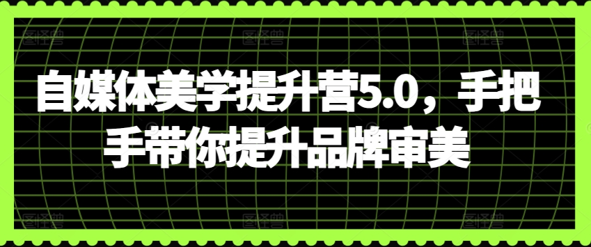 自媒体美学提升营5.0，手把手带你提升品牌审美_微雨项目网