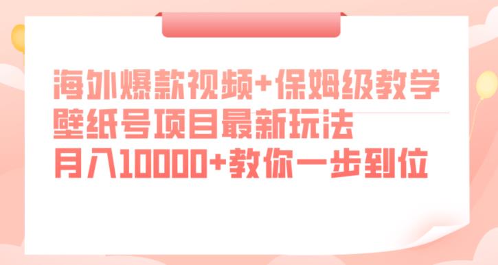 海外爆款视频+保姆级教学，壁纸号项目最新玩法，月入10000+教你一步到位【揭秘】_微雨项目网