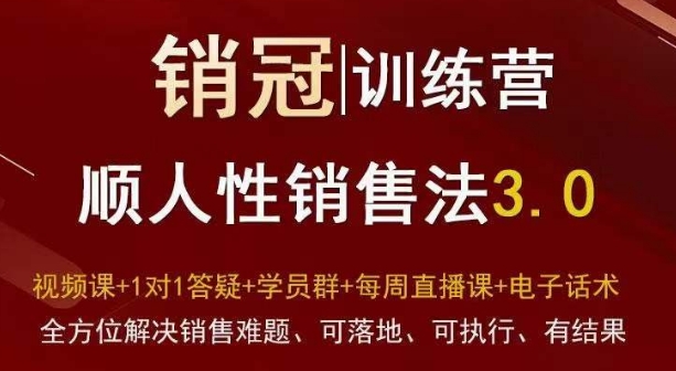 爆款！销冠训练营3.0之顺人性销售法，全方位解决销售难题、可落地、可执行、有结果_微雨项目网
