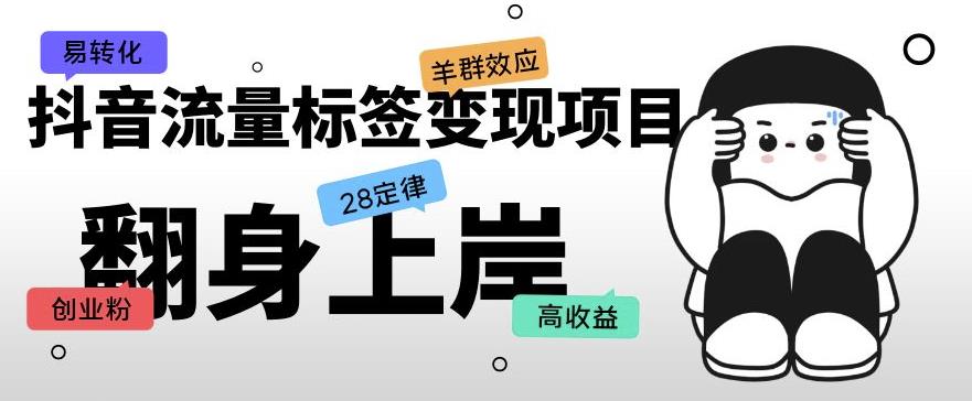 抖音流量标签变现项目，抖音创业粉轻松转化，单价高收益简单_微雨项目网