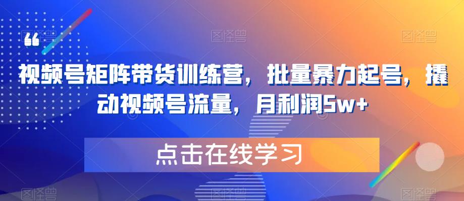 视频号矩阵带货训练营，批量暴力起号，撬动视频号流量，月利润5w+_微雨项目网