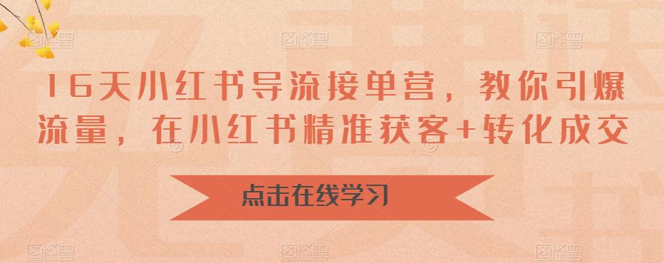 16天小红书导流接单营，教你引爆流量，在小红书精准获客+转化成交_微雨项目网