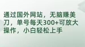 通过国外网站，无脑赚美刀，单号每天300+可放大操作，小白轻松上手【揭秘】_微雨项目网