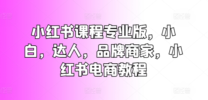 小红书课程专业版，小白，达人，品牌商家，小红书电商教程_微雨项目网