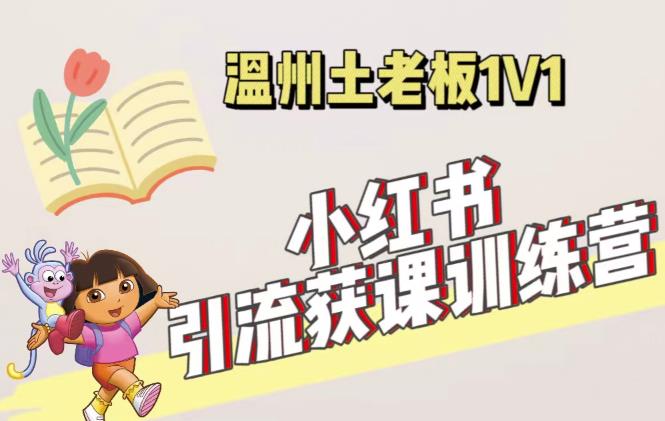 小红书1对1引流获客训练营：账号、内容、引流、成交（价值3999元）_微雨项目网