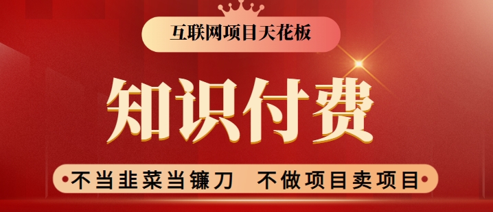 2024互联网项目天花板，新手小白也可以通过知识付费月入10W，实现财富自由【揭秘】_微雨项目网