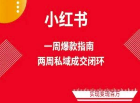 爆款小红书免费流量体系课程(两周变现)，小红书电商教程_微雨项目网