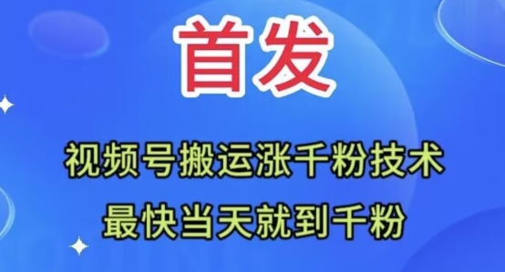 全网首发：视频号无脑搬运涨千粉技术，最快当天到千粉【揭秘】_微雨项目网