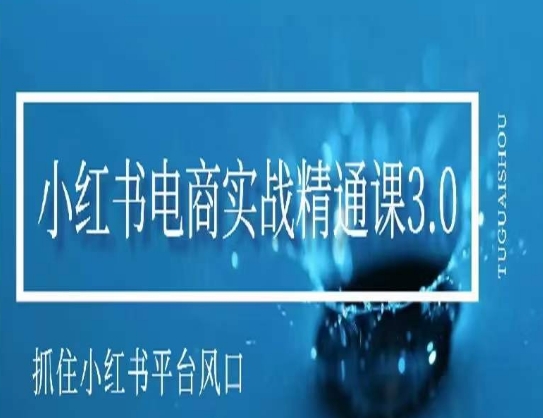 小红书电商实战精通课3.0，抓住小红书平台的风口，不错过有一个赚钱的机会_微雨项目网