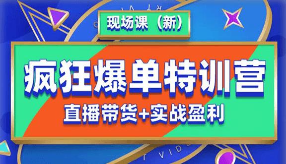 抖音短视频疯狂爆单特训营现场课（新）直播带货+实战案例_微雨项目网