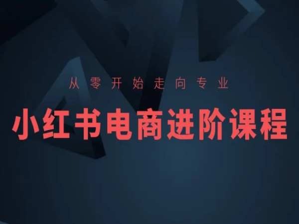 从零开始走向专业，小红书电商进阶课程_微雨项目网