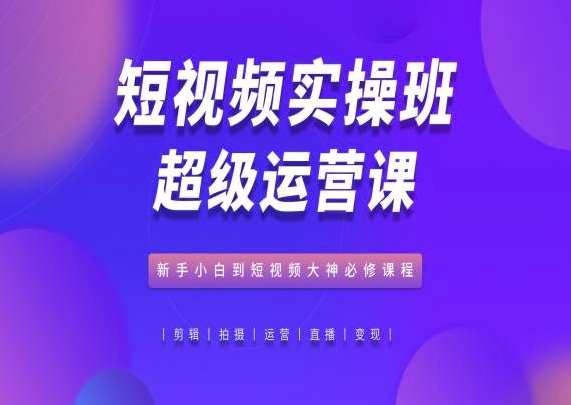短视频实操班超级运营课，新手小白到短视频大神必修课程_微雨项目网