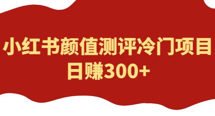 外面1980的项目，小红书颜值测评冷门项目，日赚300+【揭秘】_微雨项目网