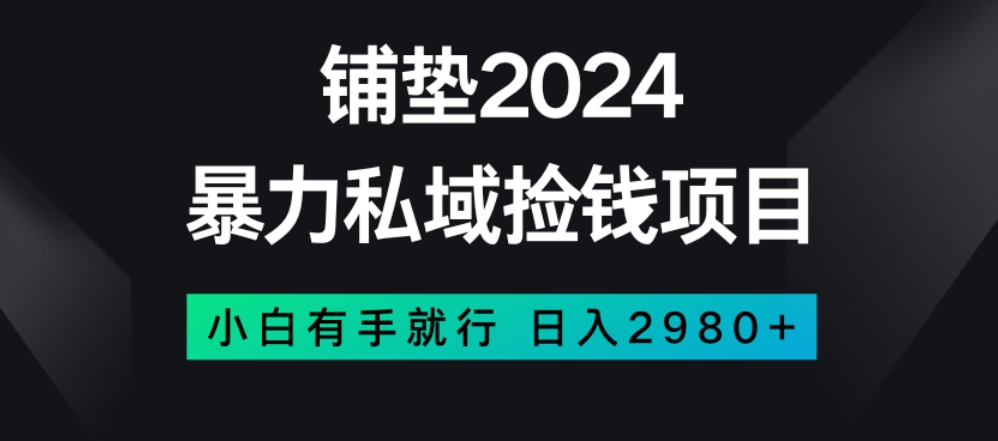 暴力私域捡钱项目，小白无脑操作，日入2980【揭秘】_微雨项目网