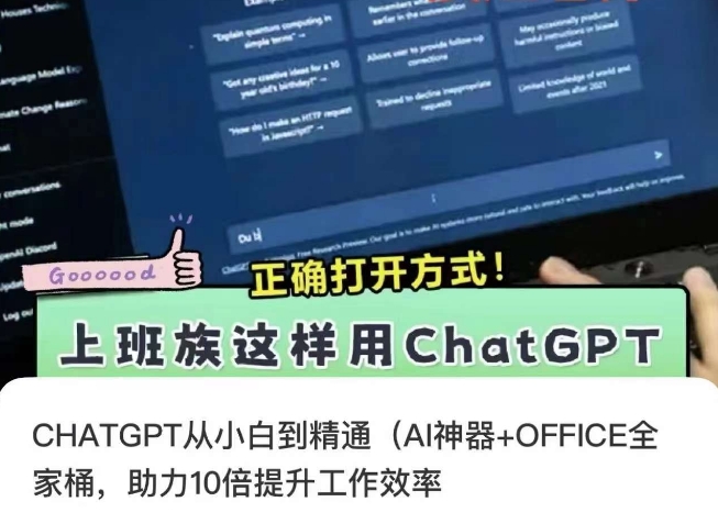 CHATGPT从小白到精通，AI神器+OFFICE全家桶，助力10倍提升工作效率_微雨项目网