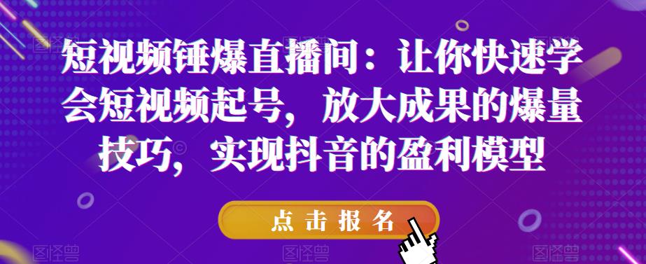 短视频锤爆直播间：让你快速学会短视频起号，放大成果的爆量技巧，实现抖音的盈利模型_微雨项目网