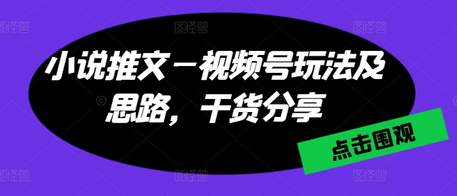 小说推文—视频号玩法及思路，干货分享_微雨项目网