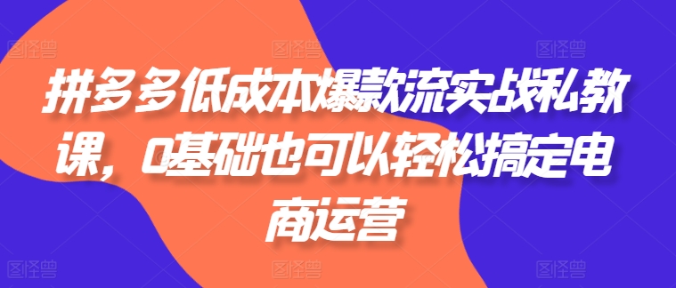 拼多多低成本爆款流实战私教课，0基础也可以轻松搞定电商运营_微雨项目网