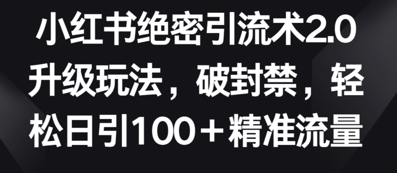 小红书绝密引流术2.0升级玩法，破封禁，轻松日引100+精准流量【揭秘】_微雨项目网