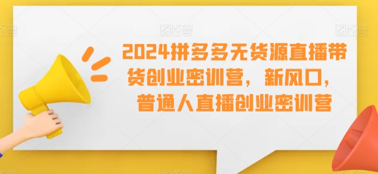 2024拼多多无货源直播带货创业密训营，新风口，普通人直播创业密训营_微雨项目网