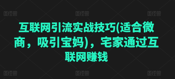 互联网引流实战技巧(适合微商，吸引宝妈)，宅家通过互联网赚钱_微雨项目网