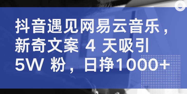 抖音遇见网易云音乐，新奇文案 4 天吸引 5W 粉，日挣1000+【揭秘】_微雨项目网