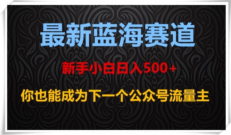 最新蓝海赛道，新手小白日入500+，你也能成为下一个公众号流量主【揭秘】_微雨项目网