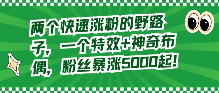 两个快速涨粉的野路子，一个特效+神奇布偶，粉丝暴涨5000起【揭秘】_微雨项目网