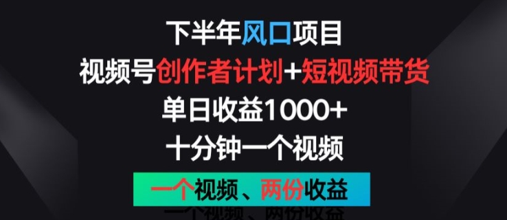 下半年风口项目，视频号创作者计划+视频带货，一个视频两份收益，十分钟一个视频【揭秘】_微雨项目网