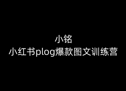 小铭-小红书plog爆款图文训练营，教你从0-1做小红书_微雨项目网