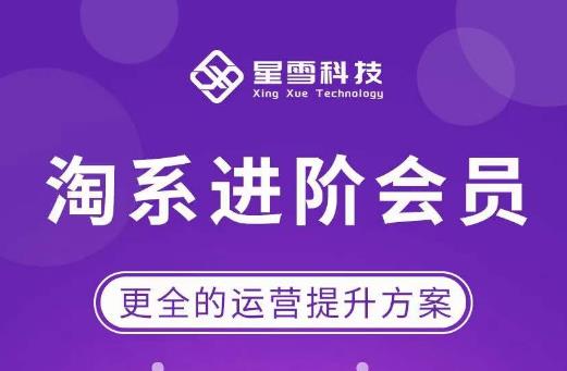 星雪·淘系进阶课程，快速提升突破技能流量瓶颈必备（更新2023年5月）_微雨项目网