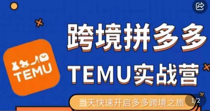 大鹏出海·拼多多跨境temu运营指导，开店注册+选品+核价上架，日出千单实战课_微雨项目网