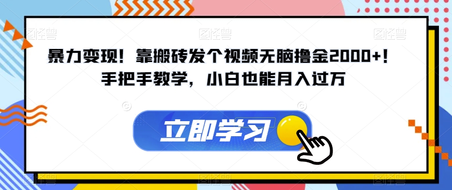暴力变现！靠搬砖发个视频无脑撸金2000+！手把手教学，小白也能月入过万【揭秘】_微雨项目网