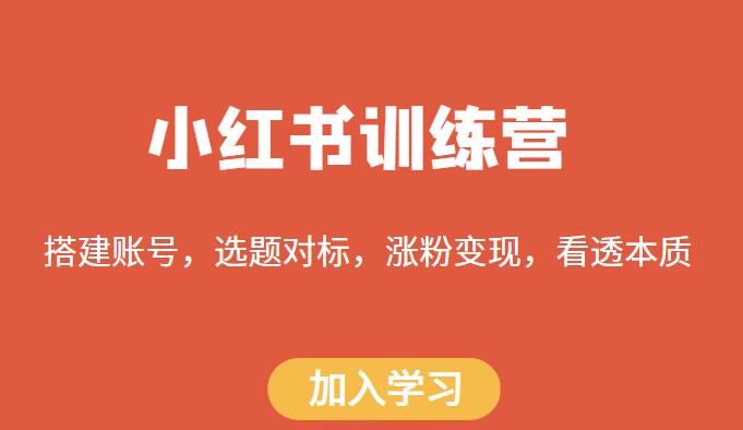 小红书训练营，搭建账号，选题对标，涨粉变现，看透本质_微雨项目网