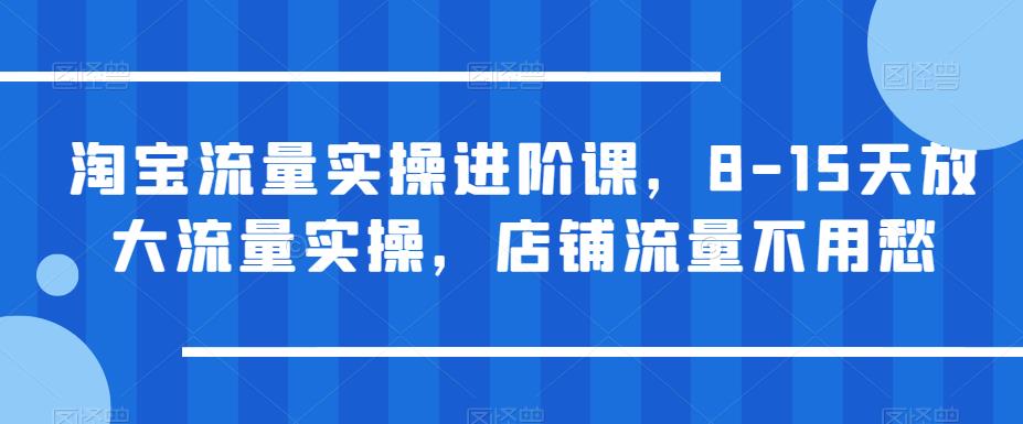 淘宝流量实操进阶课，8-15天放大流量实操，店铺流量不用愁_微雨项目网