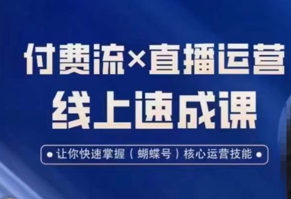 视频号付费流实操课程，付费流✖️直播运营速成课，让你快速掌握视频号核心运营技能_微雨项目网