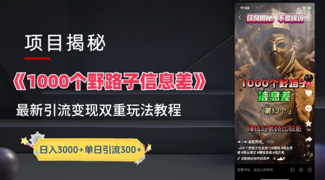 一千个野路子信息差最新玩法教程-变现+引流的玩法具体拆解【揭秘】_微雨项目网