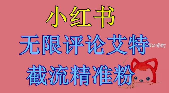 小红书无限评论艾特截流精准粉（软件+教程）_微雨项目网