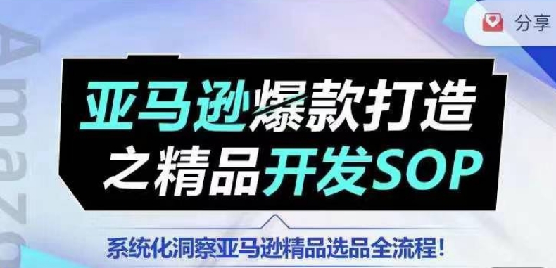 【训练营】亚马逊爆款打造之精品开发SOP，系统化洞察亚马逊精品选品全流程_微雨项目网