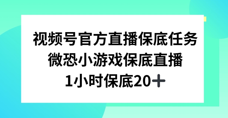 视频号直播任务，微恐小游戏，1小时20+【揭秘】_微雨项目网